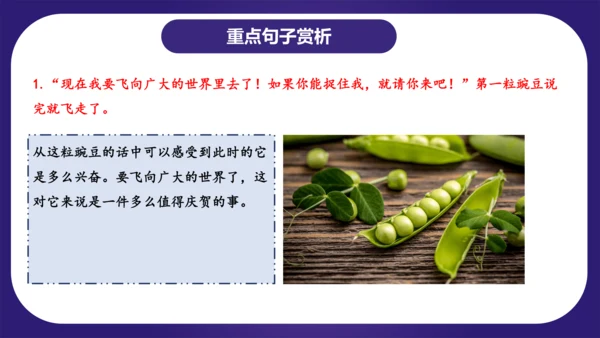 统编版语文四年级上册第二单元（复习课件）