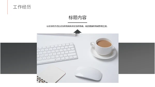 运营岗位竞聘个人简历通用PPT模版