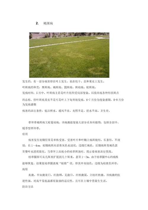 园林草坪常见虫害
