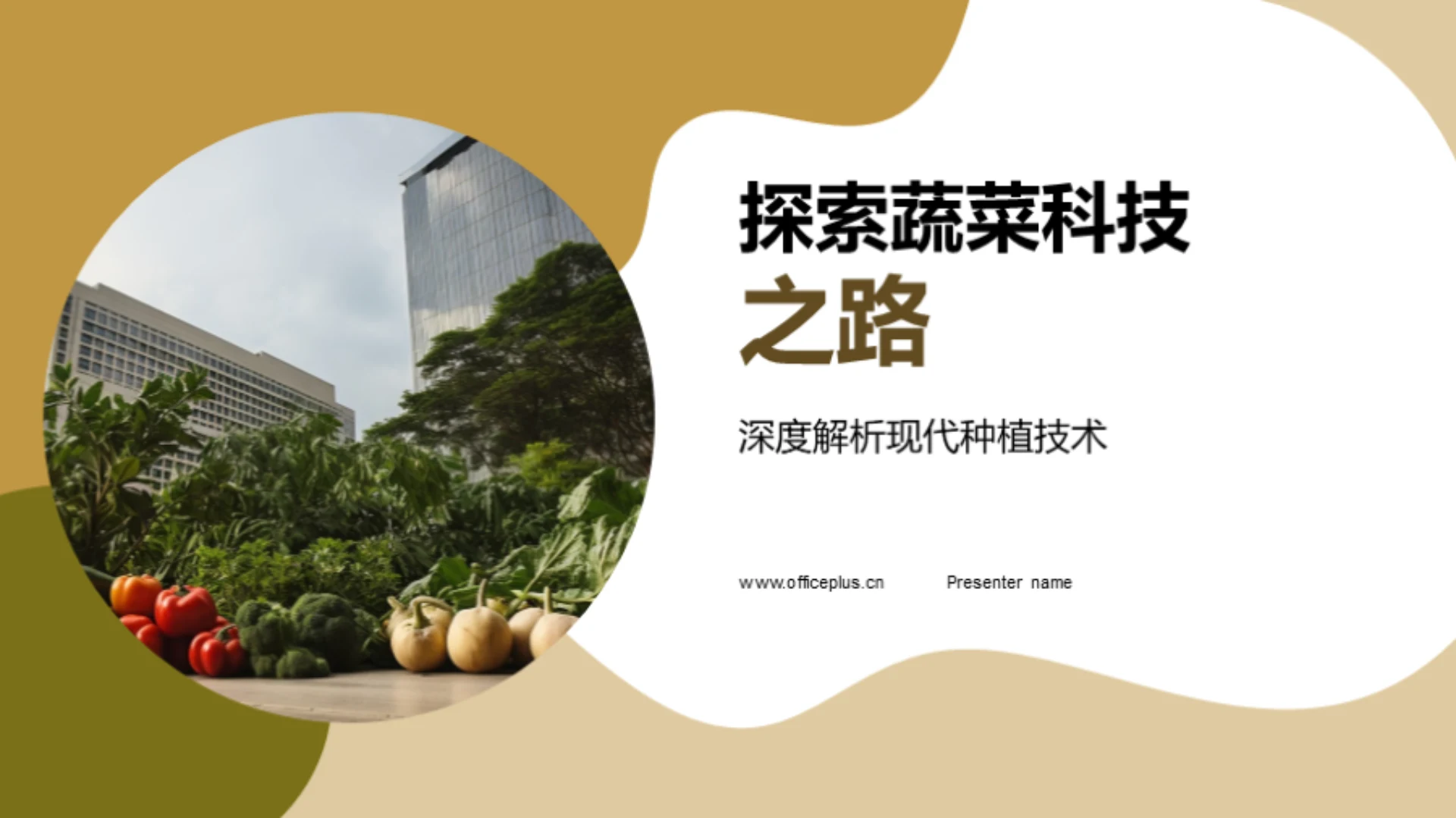 探索蔬菜科技之路