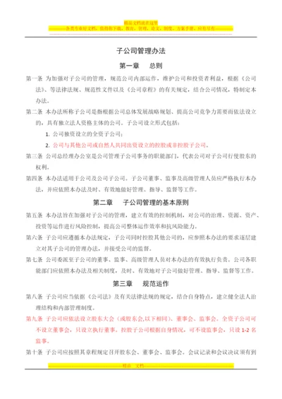 子公司管理办法.docx