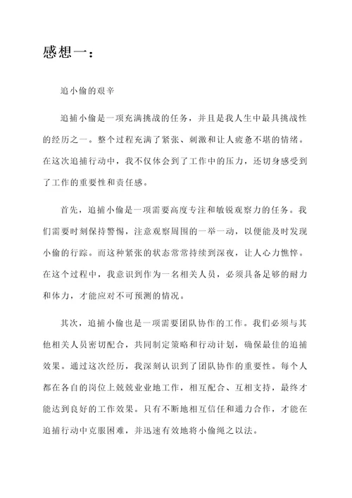 抓小偷后的感想