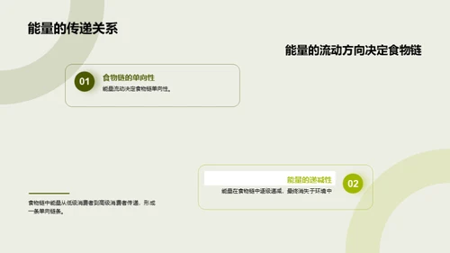 揭秘生态食物链