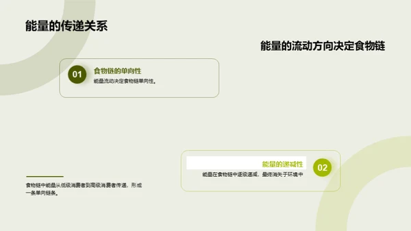 揭秘生态食物链