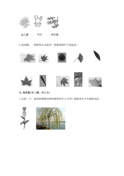 教科版科学一年级上册第一单元《植物》测试卷附完整答案（全优）.docx