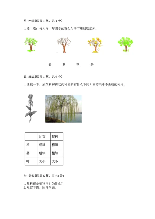 教科版一年级上册科学期末测试卷及参考答案【夺分金卷】.docx