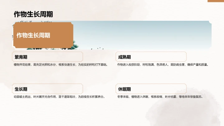 二十四节气之惊蛰PPT模板