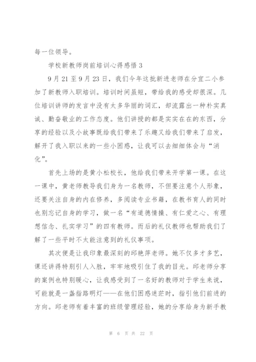 学校新教师岗前培训心得感悟范文10篇.docx
