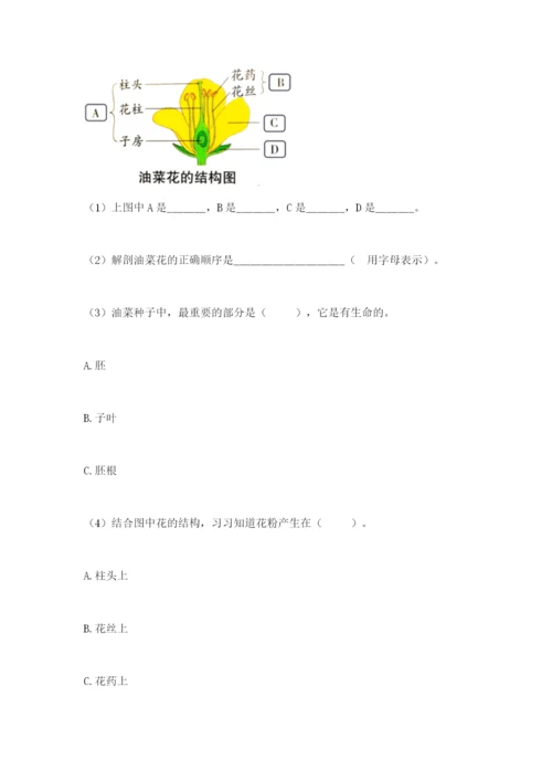 科学四年级下册第一单元《植物的生长变化》测试卷（综合卷）.docx