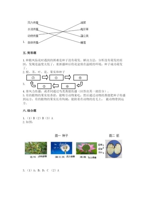 教科版四年级下册科学第一单元《植物的生长变化》测试卷加精品答案.docx