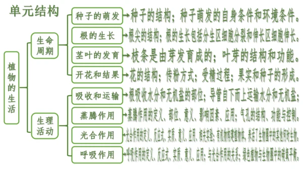 第三单元 植物的生活（单元复习课件）2023-2024学年七年级生物上册同步精品课件（人教版）(共3