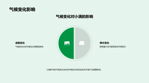 小满节气知识讲解PPT模板