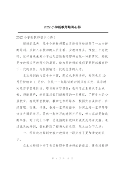 2022小学新教师培训心得.docx