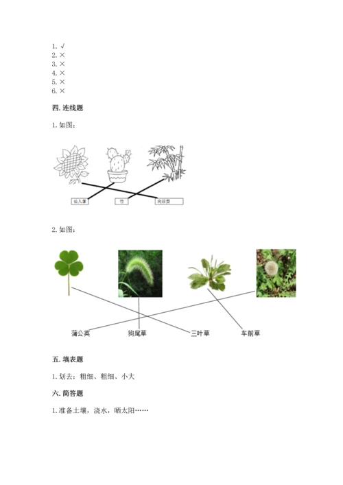 教科版科学一年级上册第一单元《植物》测试卷精品【易错题】.docx
