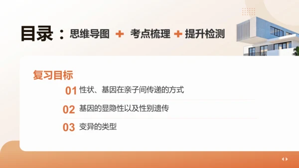 复习专题六生物的遗传与变异（串讲课件）-八年级生物上学期期末考点大串讲（人教版）(共23张PPT)