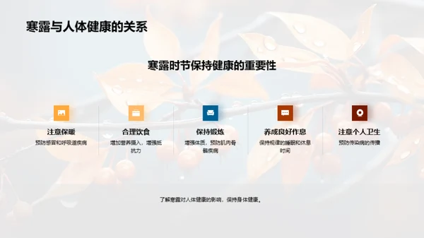 探索寒露节气