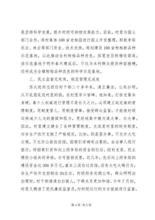松林村党支部书记优秀事迹材料.docx