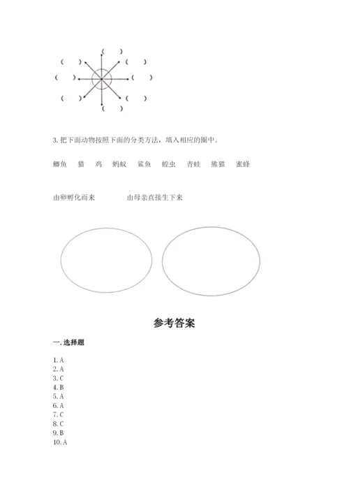 教科版小学科学三年级下册期末测试卷完整.docx