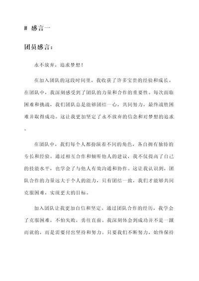 团员的感言