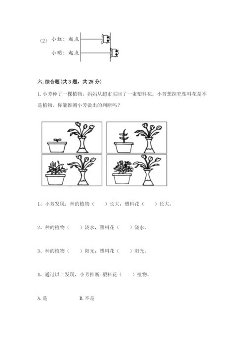 教科版一年级上册科学期末测试卷精品含答案.docx