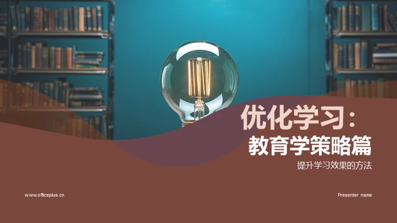 优化学习：教育学策略篇