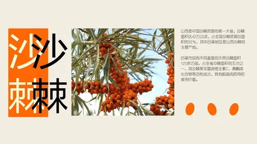 橙色拼贴风城市人文山西旅游攻略
