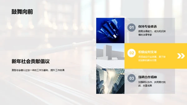 法律领域年度总结