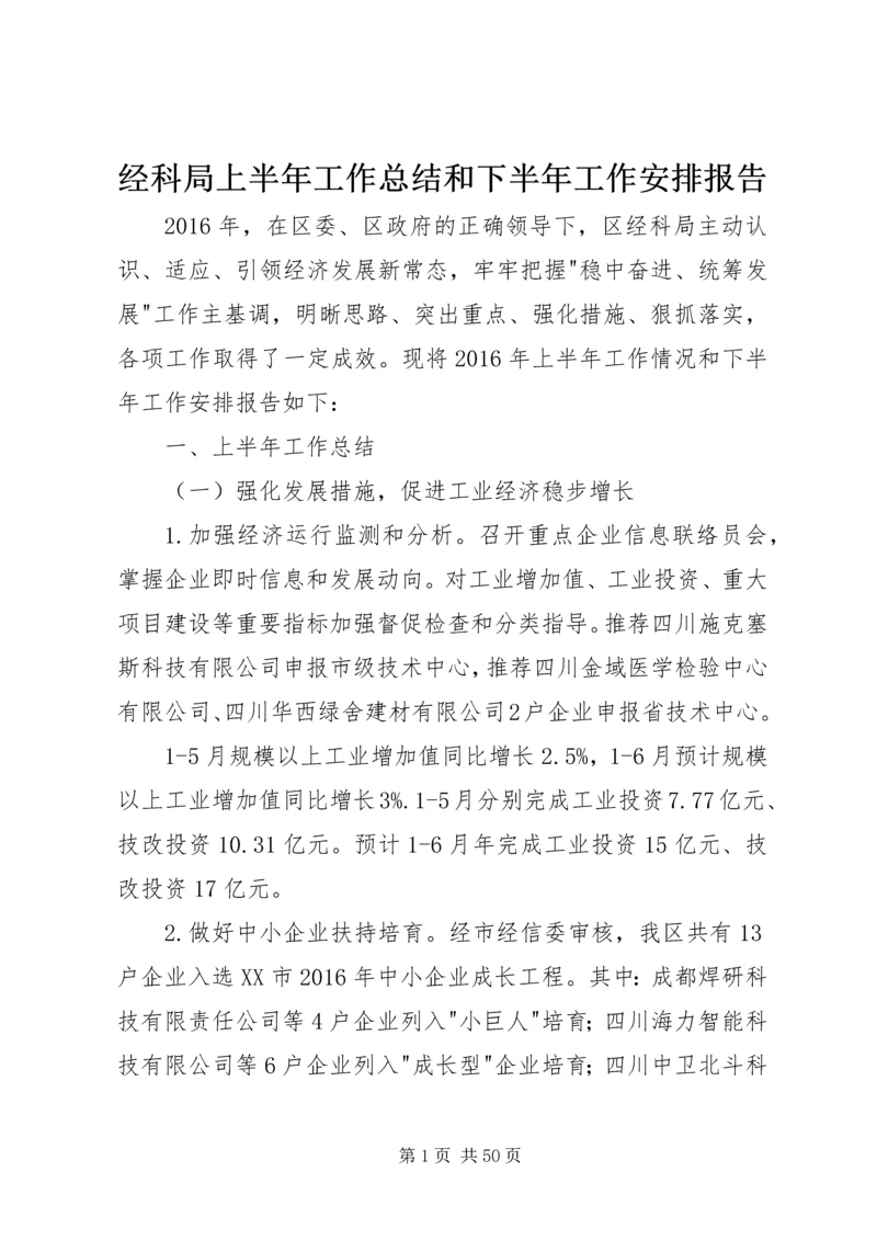 经科局上半年工作总结和下半年工作安排报告.docx