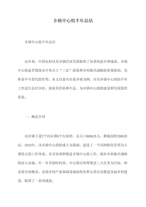 乡镇中心组半年总结