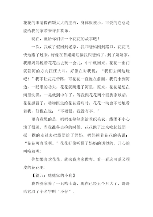 姥姥家的小狗作文.docx