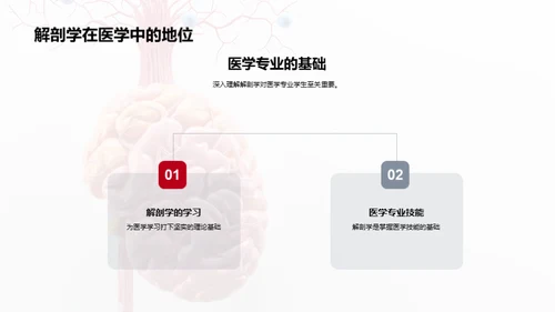 解剖学的医学精要