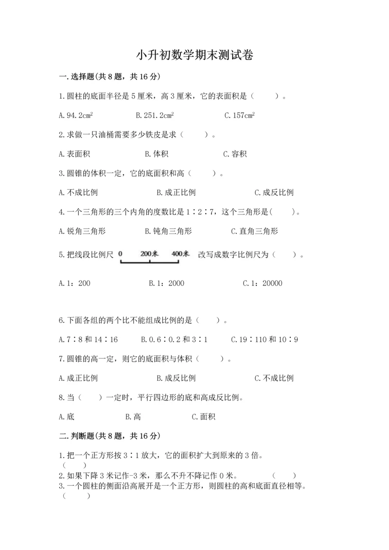 小升初数学期末测试卷（名师系列）.docx