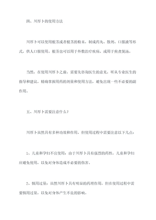 川厚卜的功效与作用