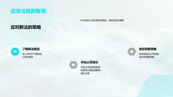 公司法解读报告