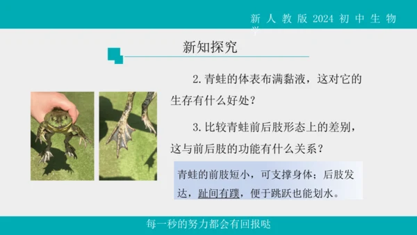 人教版生物七年级上册2.2.2《脊椎动物》（第1课时）课件(共42张PPT)+视频素材