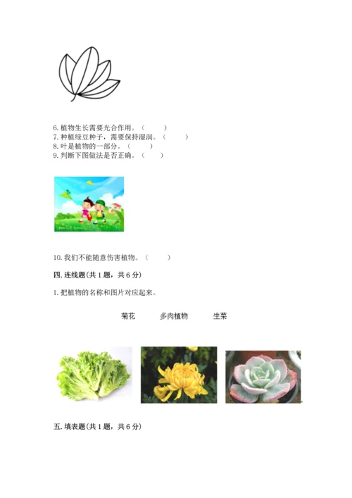 教科版一年级上册科学期末测试卷精品【综合题】.docx