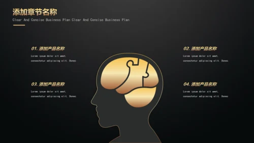 黑金高端商业计划书模板
