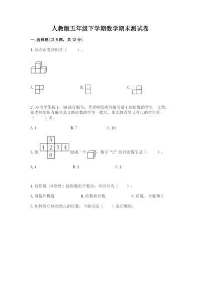 人教版五年级下学期数学期末测试卷精品（巩固）.docx