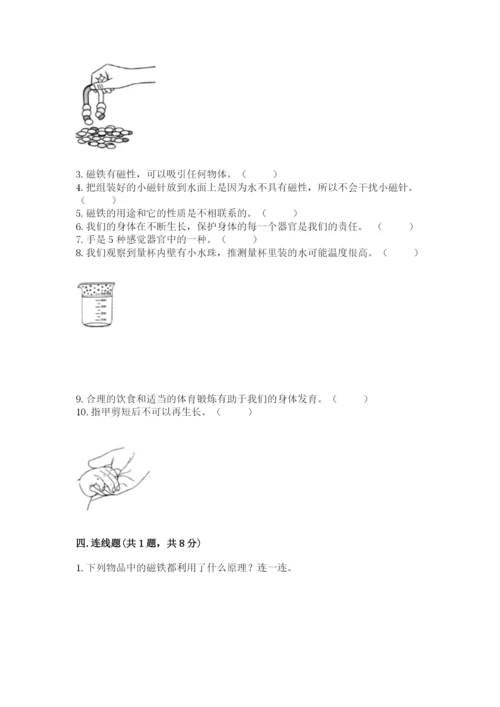 教科版二年级下册科学知识点期末测试卷带答案（培优）.docx