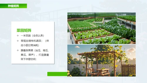 新城市农家小院策划案通用PPT