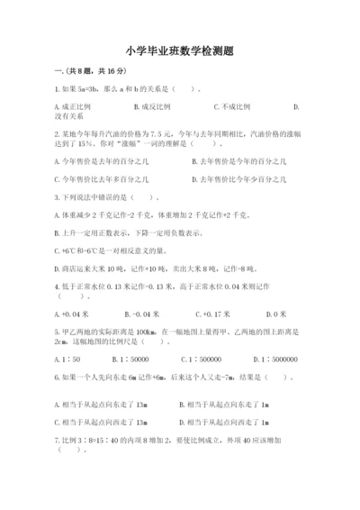 小学毕业班数学检测题带答案（达标题）.docx