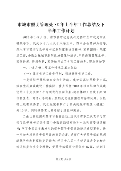 市城市照明管理处XX年上半年工作总结及下半年工作计划.docx