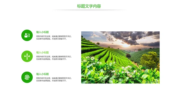 唯美绿色茶园文化茶艺品茶论道动态PPT模板