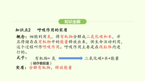 第三单元-第二章-第三节-呼吸作用课件-2024-2025学年七年级生物下学期人教版(2024)(共