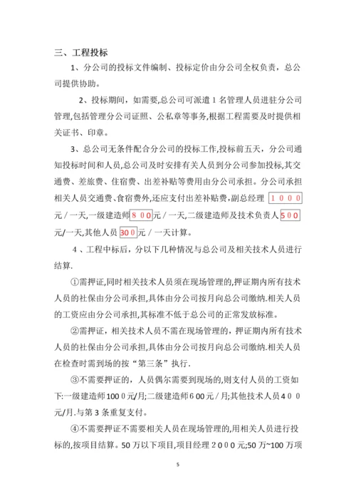 分公司管理制度.docx