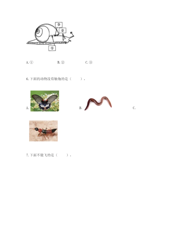 教科版一年级下册科学期末测试卷【中心小学】.docx
