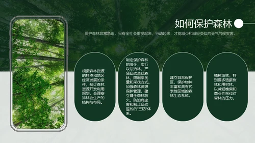 植树节认识森林保护森林主题教育通用PPT模板