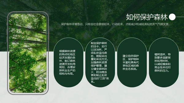 植树节认识森林保护森林主题教育通用PPT模板
