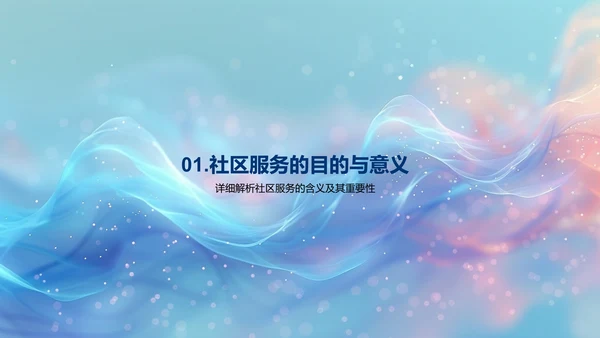 社区服务成果