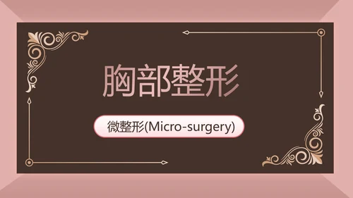 微整形项目介绍工作总结汇报动态PPT
